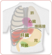 腹腔鏡下手術