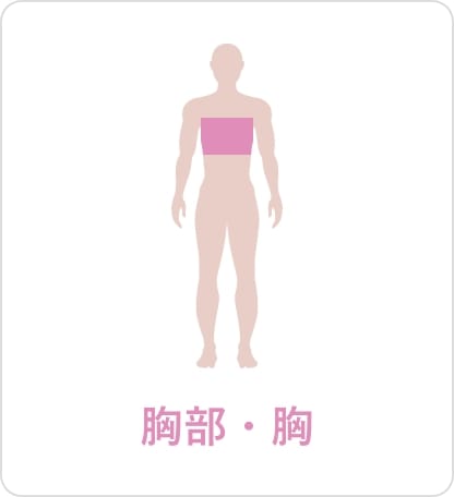 胸部・胸の部位を表すイラスト